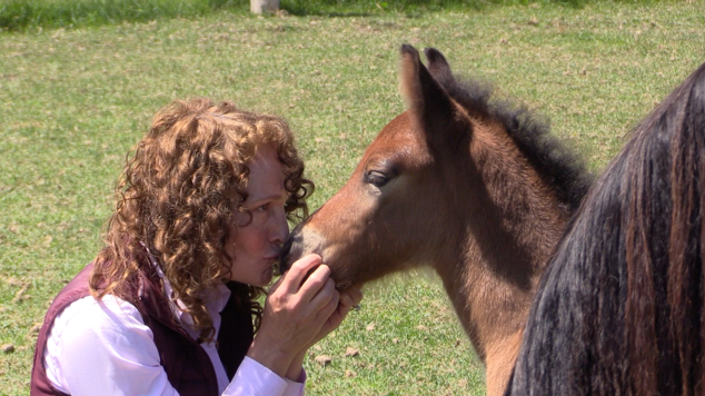 Vanessa Strike kisses Pippi the Newfoundland Pony