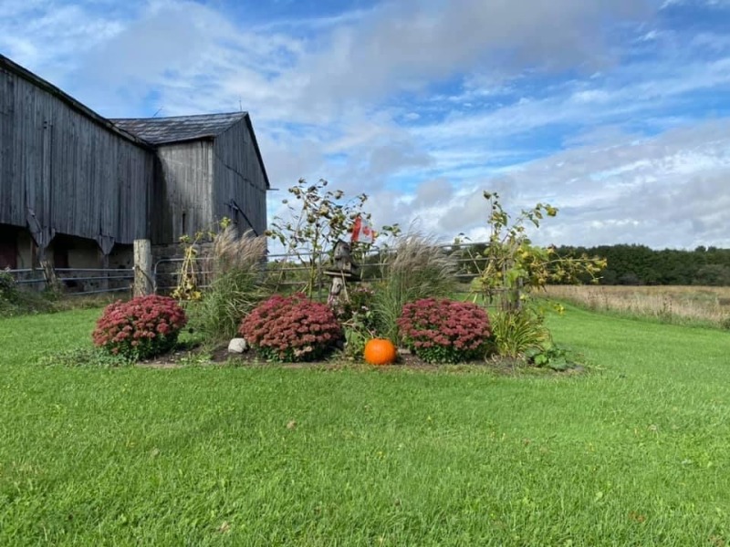 Poppy's Haven Farm