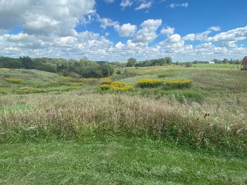 Poppy's Haven Farm