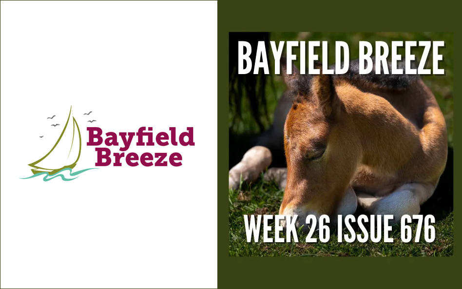 Bayfield Breeze