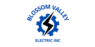 Blossom Valley Electric Inc.