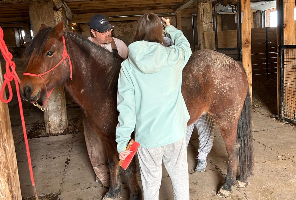 grooming the ponies